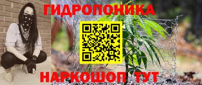 индика Чебаркуль